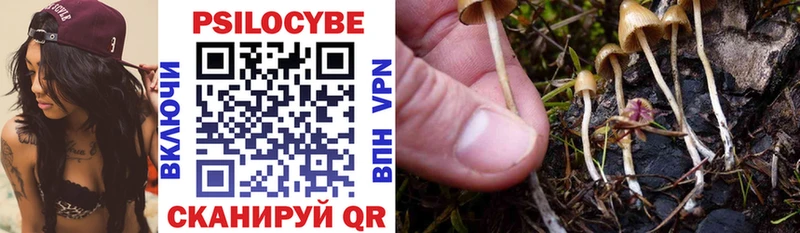 Галлюциногенные грибы MAGIC MUSHROOMS  Омутнинск 